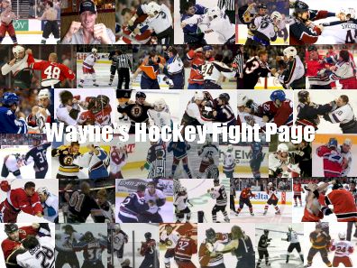 Wayne's Hockey Fight Page